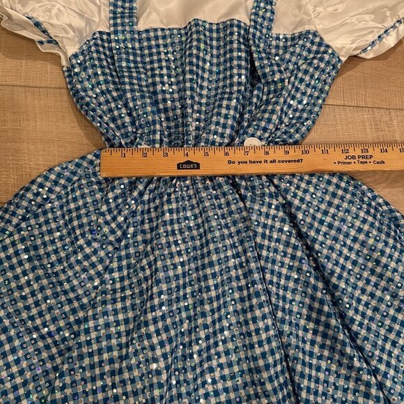 CUSTOM MADE YOUTH GIRL WIZARD OF OZ DOROTHY DANCE COSTUME COMPETITION SIZE 8 - Picture 4 of 9